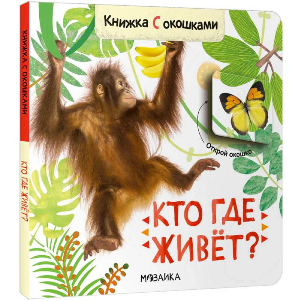 Кто где живёт?
