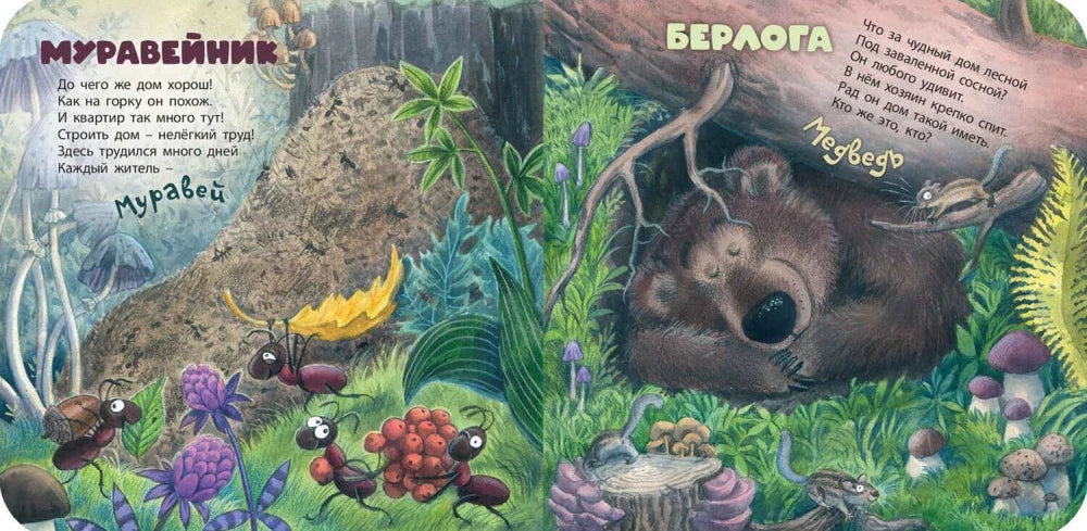 Разворот с загадками про муравейник, муравья, берлогу и медведя