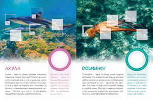 Разворот об акуле и осьминоге с подводными фотографиями и местами для наклеек