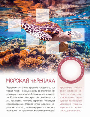 Страница о морской черепахе на коралловом рифе с местами для наклеек
