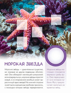Страница о морской звезде на рифе с местами для наклеек
