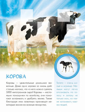 Страница о корове с большой фотографией, текстом и кругом для наклейки