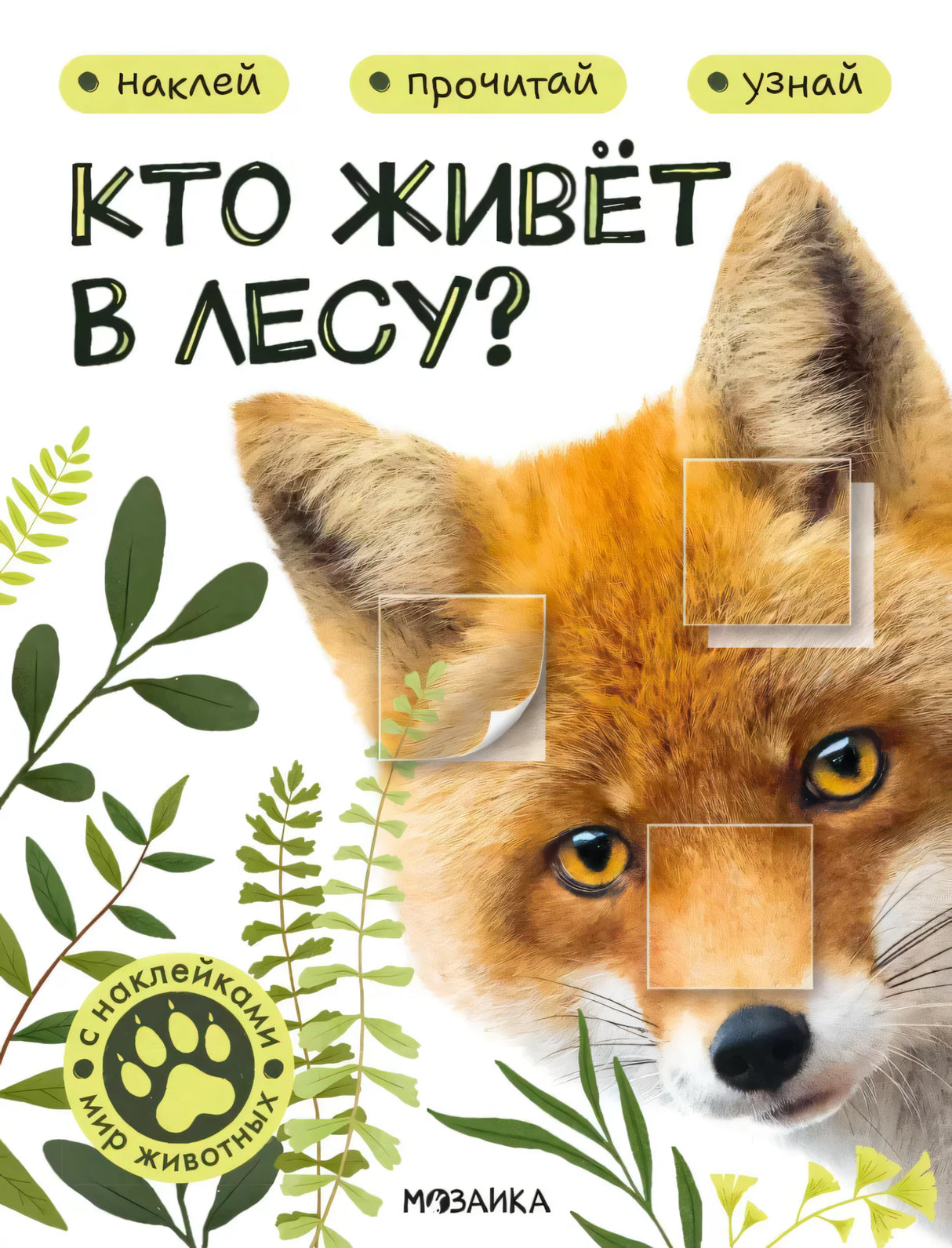 Обложка книги «Кто живёт в лесу?» с лисой и листьями