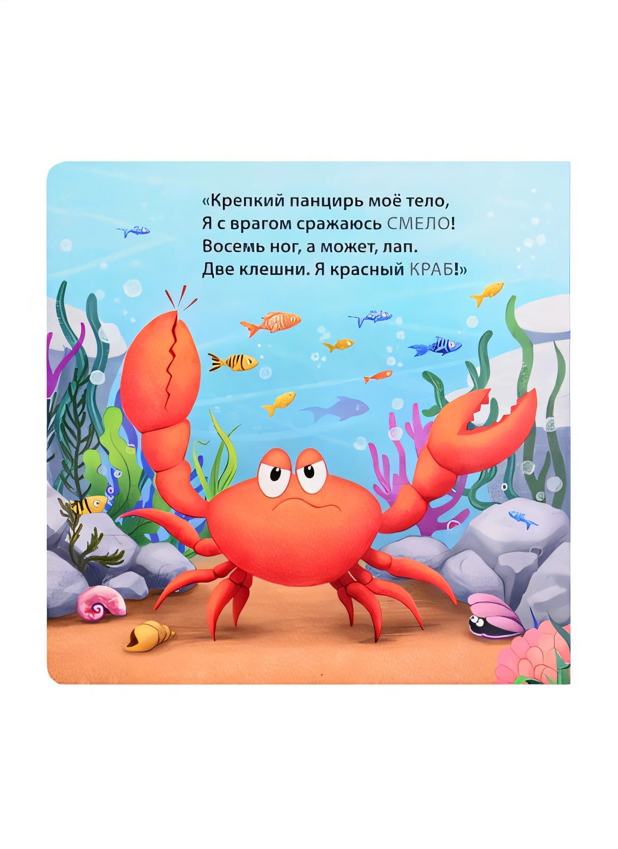 Кто живёт в воде. Загадки-рифмы 978-5-4366-0733-7 - 0
