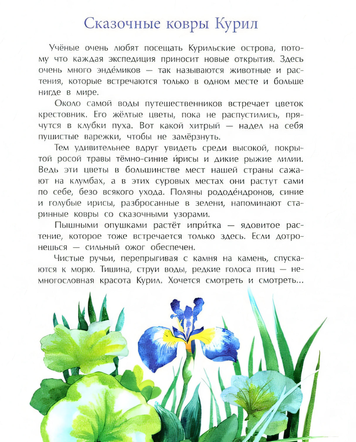 Курилы. Самый край Российской земли 978-5-907842-14-4 - 2