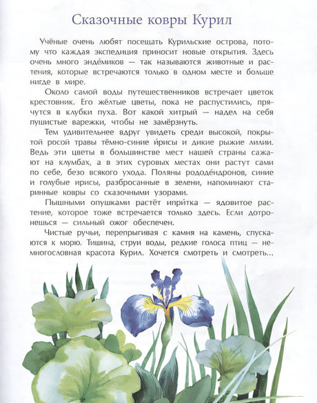 Курилы. Самый край Российской земли 978-5-907842-14-4 - 3
