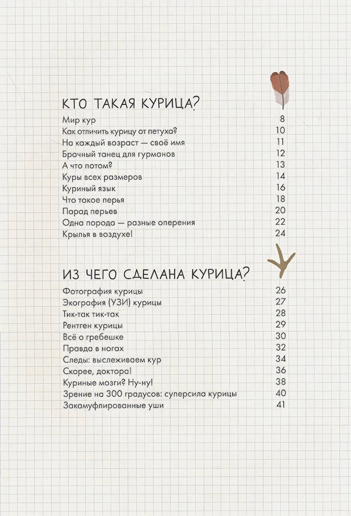 Оглавление: Кто такая курица, Из чего сделана курица