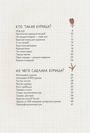 Оглавление: Кто такая курица, Из чего сделана курица