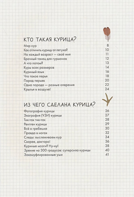 Оглавление: Кто такая курица, Из чего сделана курица