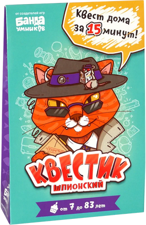 Коробка игры «Квестик шпионский» с котом-шпионом.