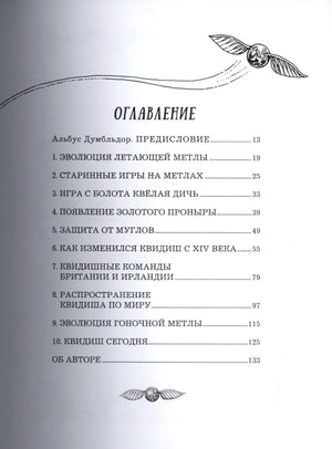 Страница оглавления книги с десятью главами о квиддиче