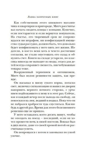 Страница романа «Лавка запретных книг» с фрагментом текста.