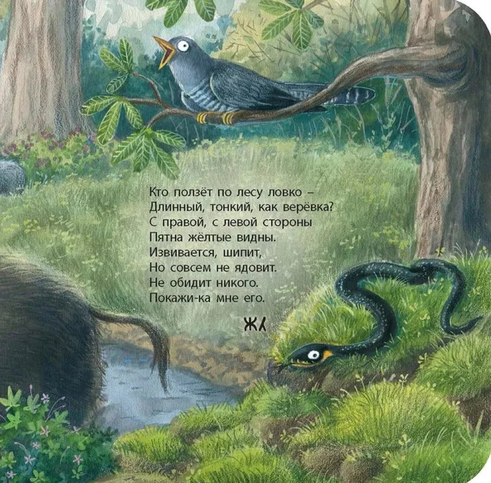 Страница-загадка о змее в лесу