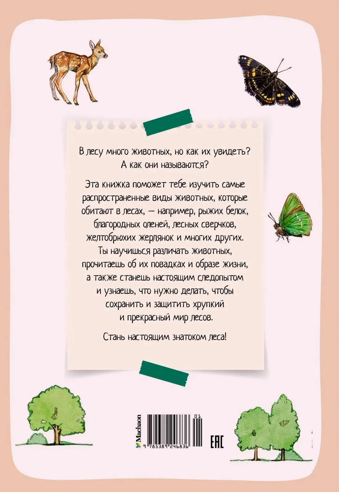 Задняя обложка с аннотацией, иллюстрациями и штрихкодом