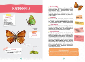 Разворот энциклопедии о малиннице, страницы 22–23