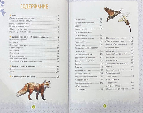 Содержание книги на страницах 2–3 с рисунком лисы