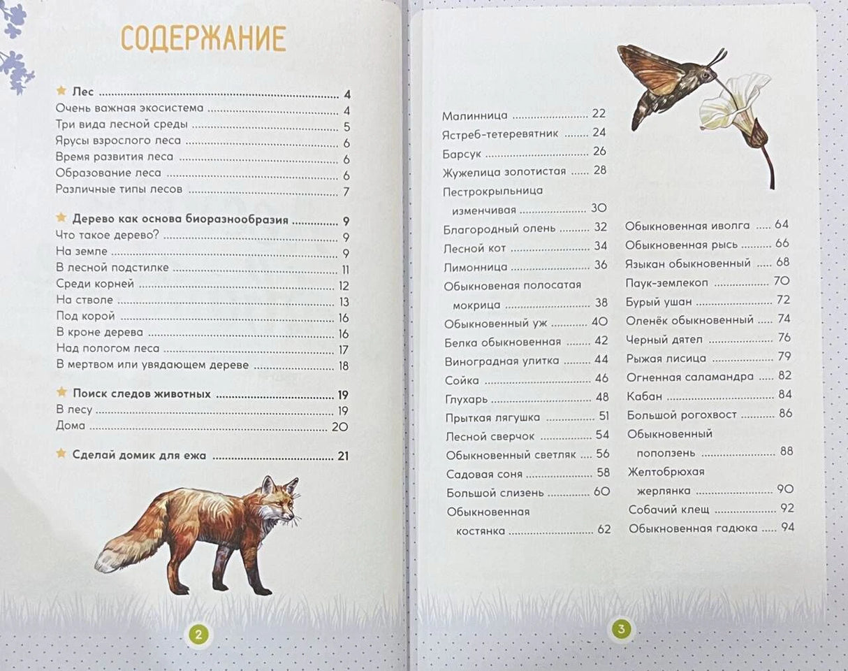 Содержание книги на страницах 2–3 с рисунком лисы