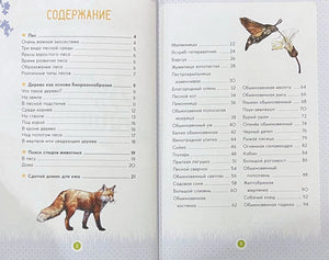 Содержание книги на страницах 2–3 с рисунком лисы
