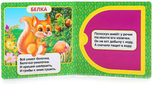 Разворот книги: страница с белкой и стихом, страница с окошком и стихом про полоскуна