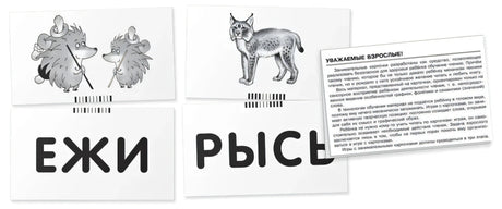 Лев. Читаем слова-слоги. Набор карточек null - 3