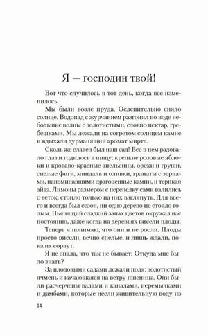 Страница 14 романа «Лилит», глава «Я — господин твой!»