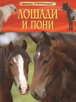 Лошади и пони. Детская энциклопедия 978-5-353-06899-0 - 0