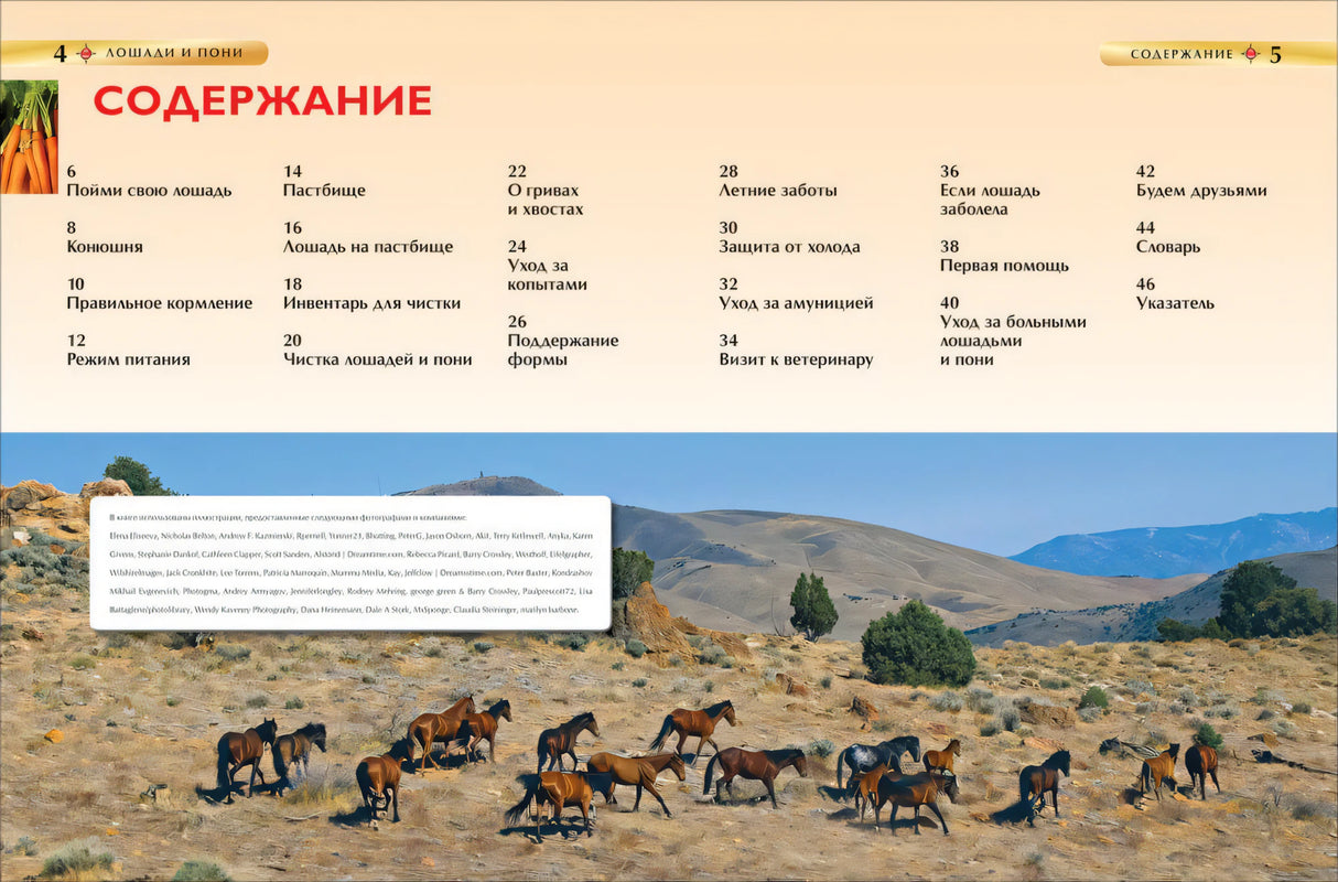 Лошади и пони. Детская энциклопедия 978-5-353-06899-0 - 1