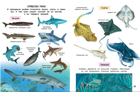 Лучшая энциклопедия для детей 978-5-353-11888-6 - 5