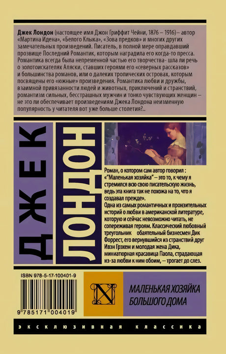 Задняя обложка с аннотацией, ISBN и фрагментом иллюстрации