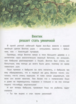 Страница 5: «Винтик решает стать умничкой»