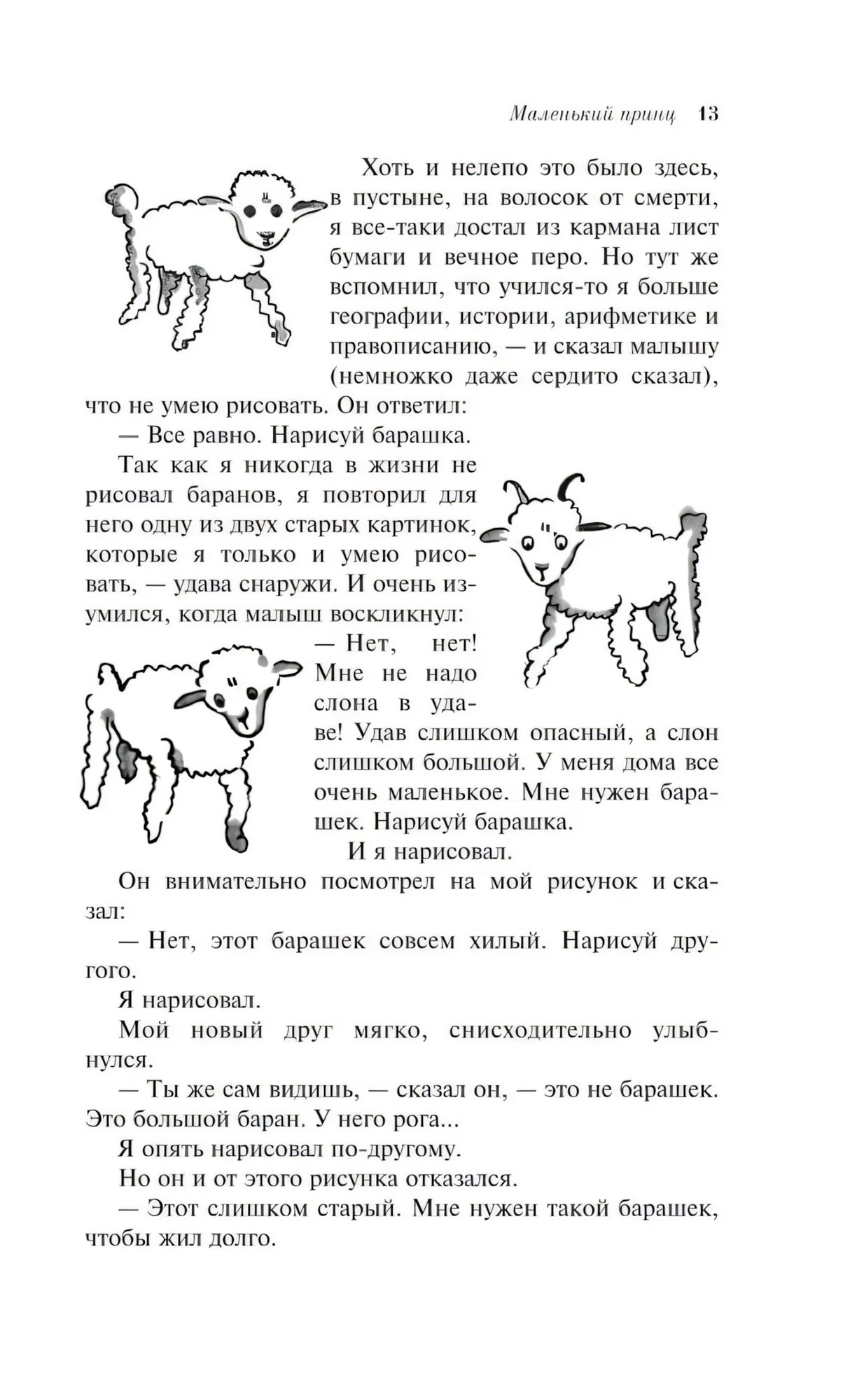 Страница 13 с рисунками барашков