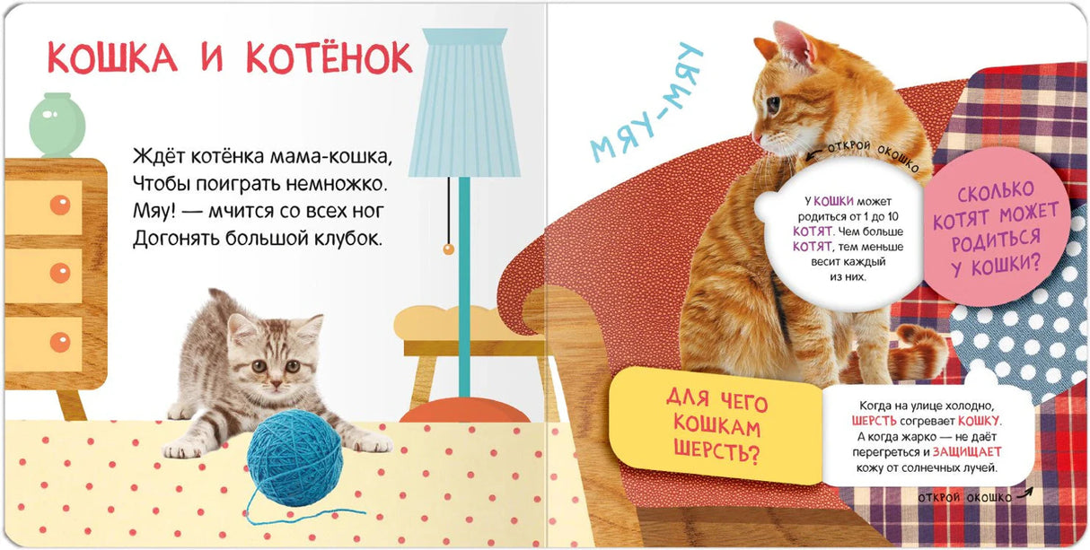 Разворот «Кошка и котёнок» со стихом и фактами о кошках