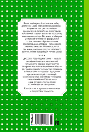 Задняя обложка книги с аннотацией, штрихкодом и зелёным узором.