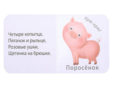 МИМИкнижки. Погремушки 978-5-4366-0858-7 - 2