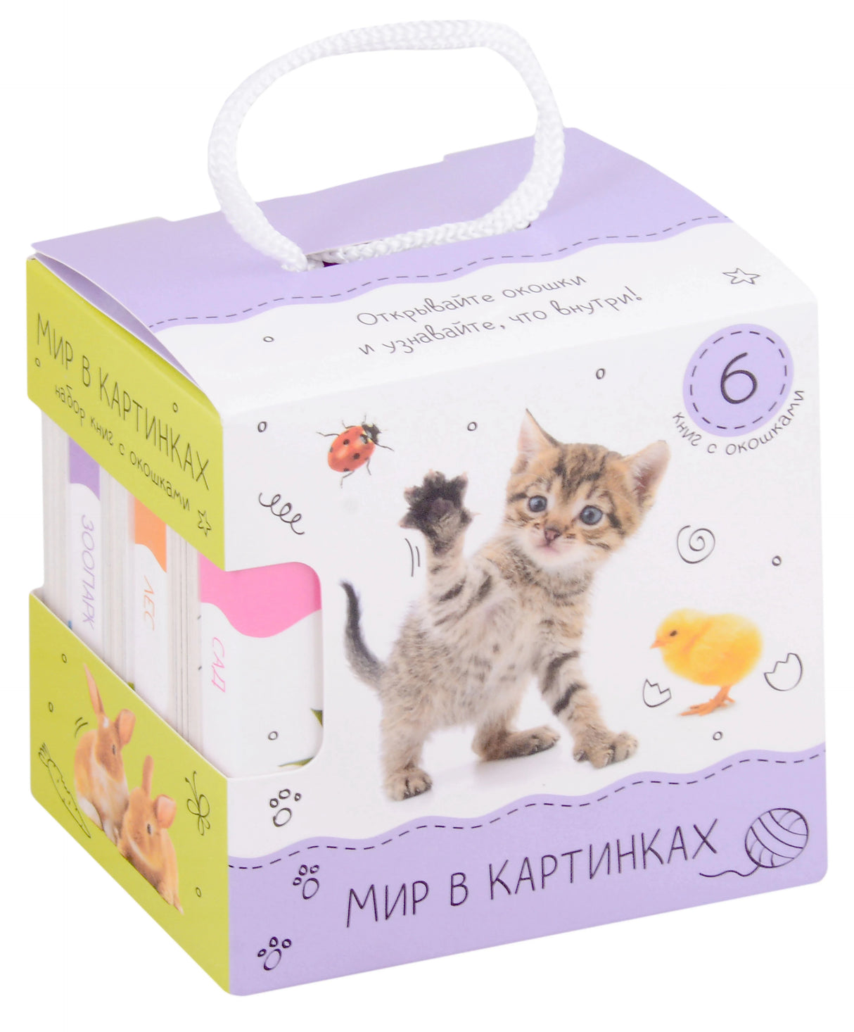 Шоубокс «Мир в картинках» — набор из 6 книг с окошками, коробка с ручкой, на обложке котёнок и цыплёнок