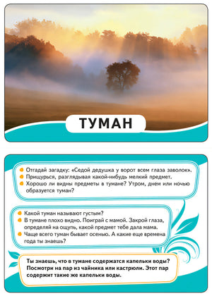 Мир вокруг (Развивающие карточки, 0+) 4680274012952 - 1