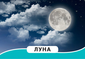 Мир вокруг (Разв.карточки 0+) 4680274012952