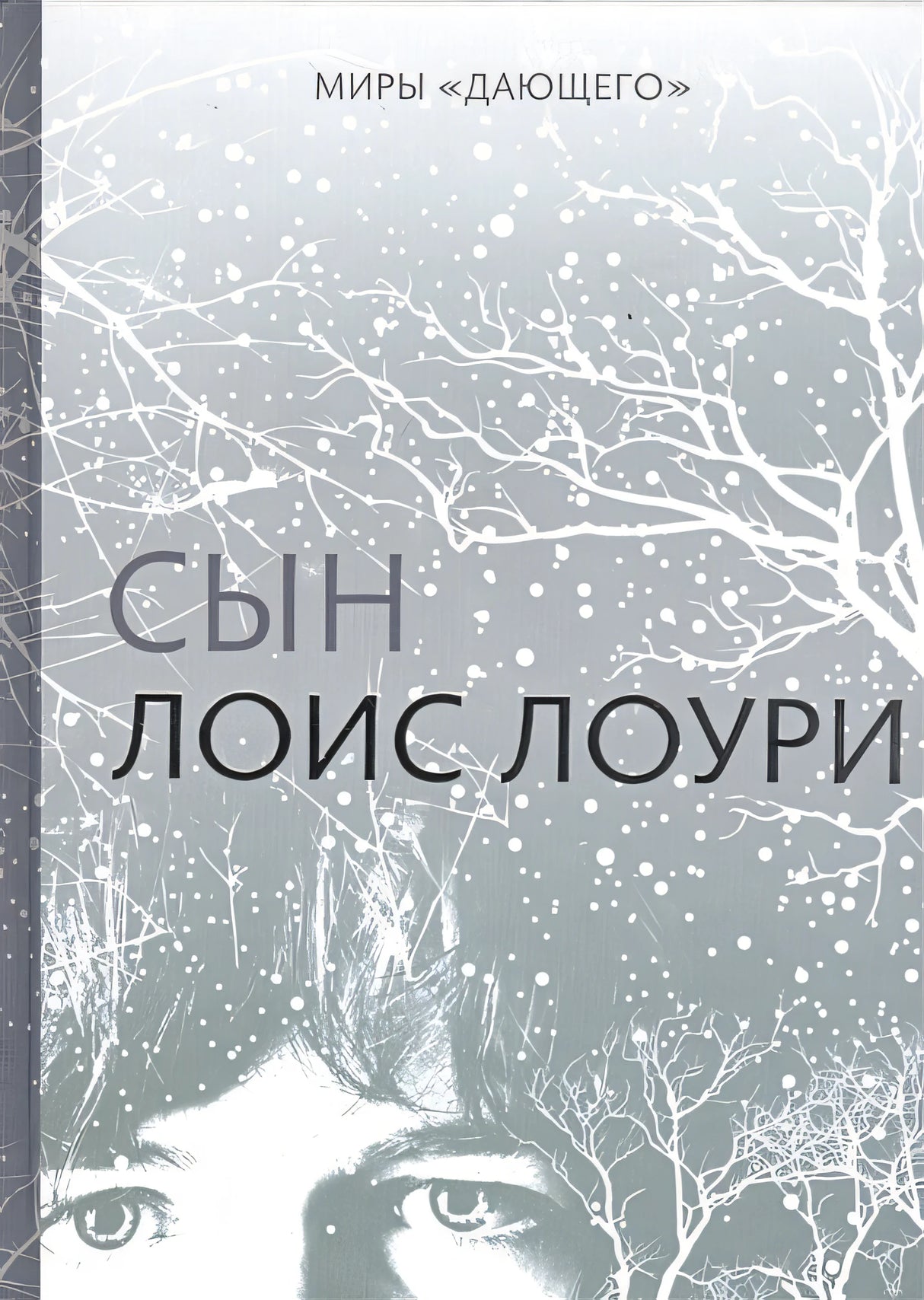 Обложка Миры "Дающего": Сын 978-5-4370-0304-6