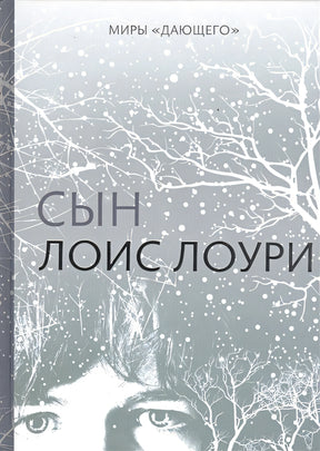 Обложка Миры "Дающего": Сын 978-5-4370-0304-6