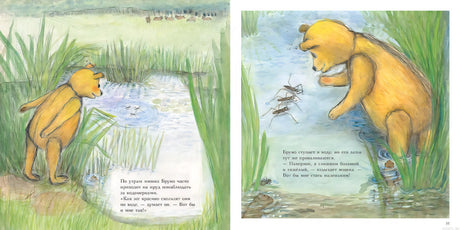 Мишка Бруно в лесу - разворот книги. Мишка наблюдает за водомерками на пруду.