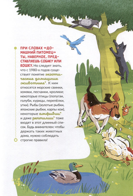 Страница о домашних животных с собакой, кошкой, птицами и уткой у пруда.