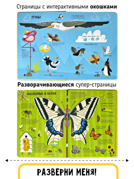 Мои первые открытия "Животные"