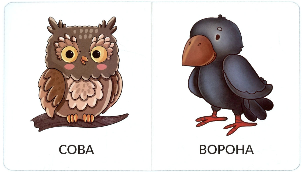 Разворот с рисунками совы и вороны и подписями «СОВА» и «ВОРОНА».