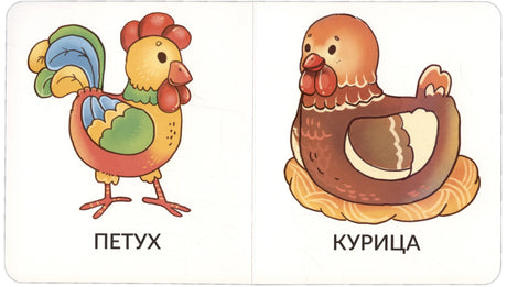 Разворот с рисунками петуха и курицы, подписями «ПЕТУХ» и «КУРИЦА»