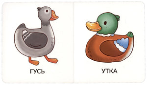 Разворот с рисунками гуся и утки, подписями «ГУСЬ» и «УТКА»
