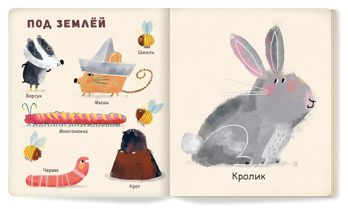 Мои первые животные null - 1