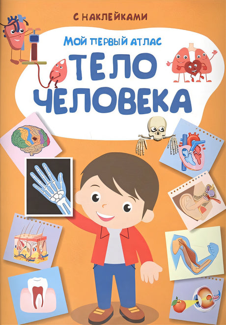 Обложка Мой первый атлас. Тело человека 978-5-465-03734-1