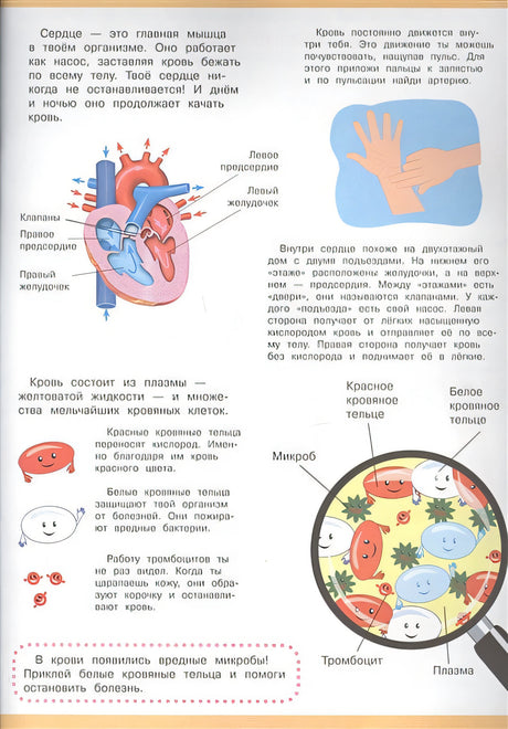 Мой первый атлас. Тело человека 978-5-465-03734-1 - 3