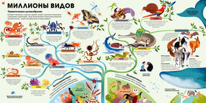 Разворот «Миллионы видов» с классификацией животных