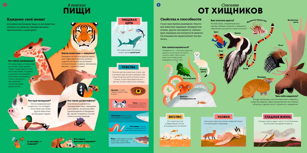 Разворот о питании животных и защите от хищников